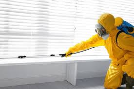 Professional Pest control in Village Of Oak Creek, AZ